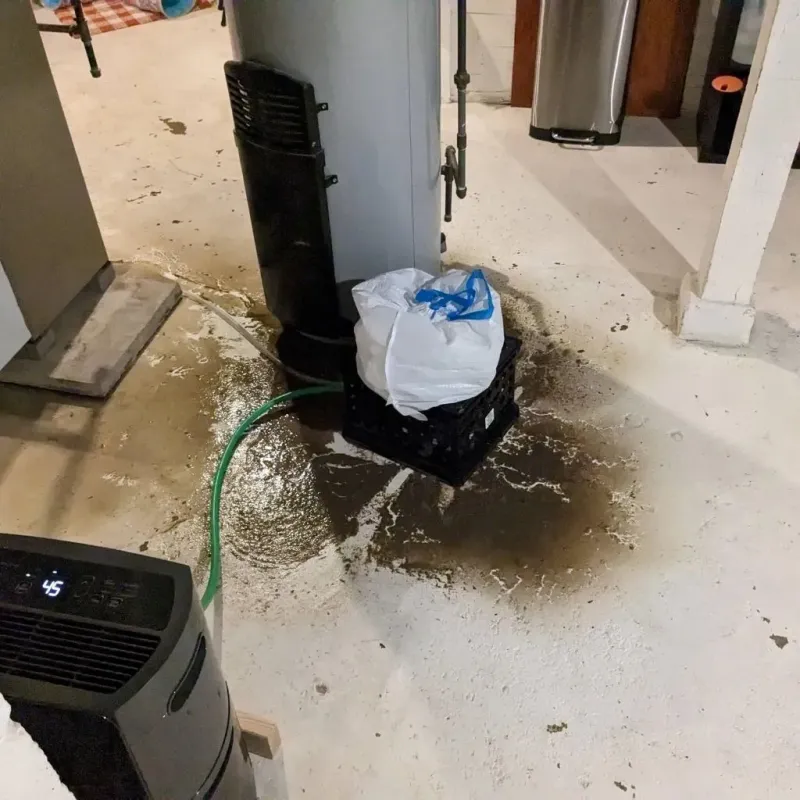 Sewage Backup Cleanup Service in Hackettstown, NJ